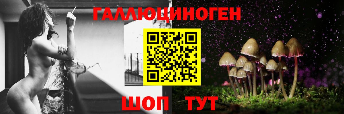 Псилоцибиновые грибы MAGIC MUSHROOMS  Вход с VPN  Семилуки 